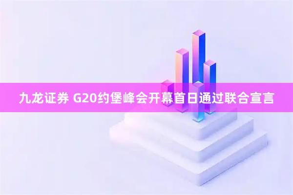 九龙证券 G20约堡峰会开幕首日通过联合宣言