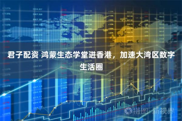 君子配资 鸿蒙生态学堂进香港，加速大湾区数字生活圈